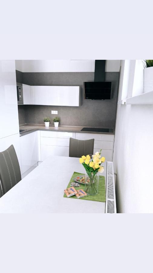 Apartmán Monika Lipno nad Vltavou Kültér fotó