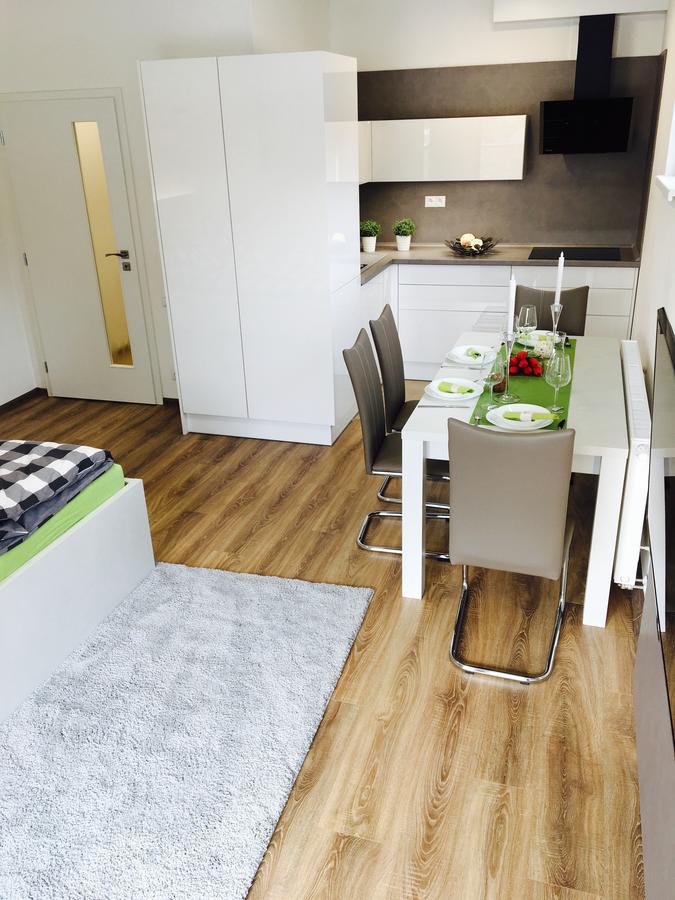 Apartmán Monika Lipno nad Vltavou Kültér fotó